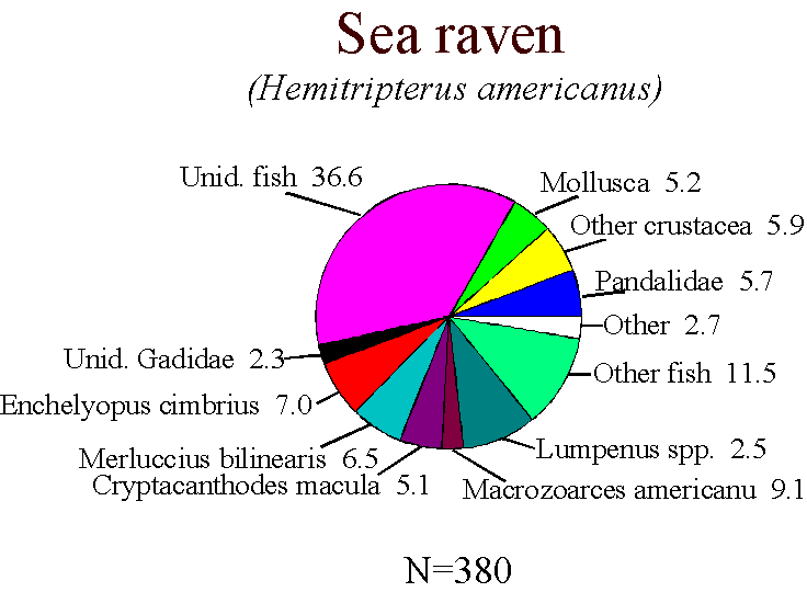 Sea raven