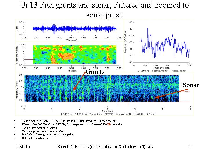 Filtered zoomed to sonar