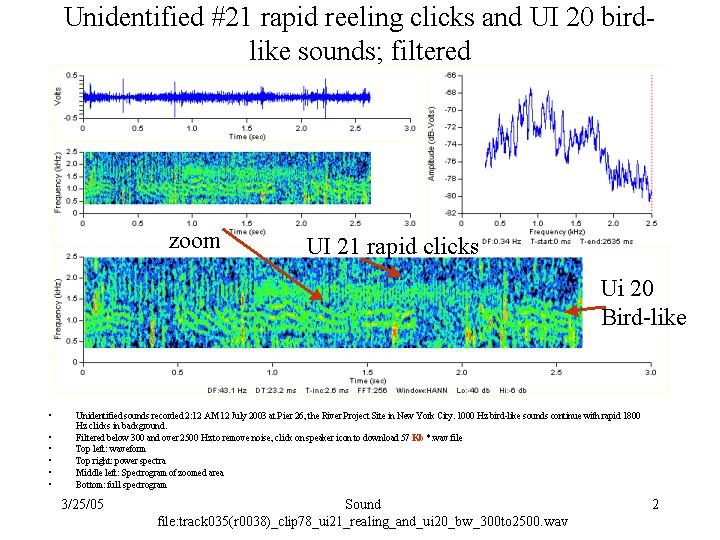 Filtered rapid clicks