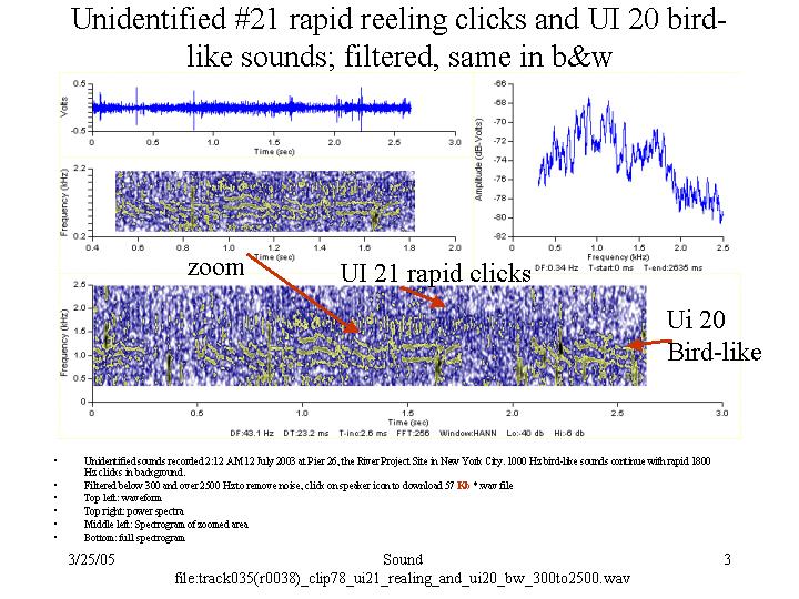 Filtered rapid clicks