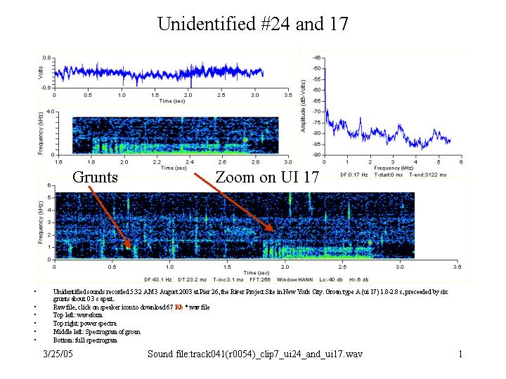 UI 24 and UI 17