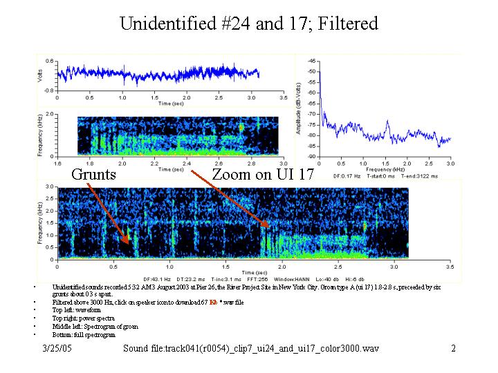 Filtered UI 24 and UI 17