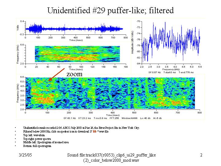 Filtered puffer-like unknown