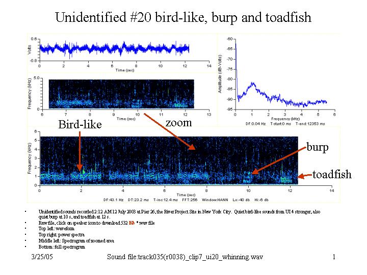 bird-like, toadfish, burp