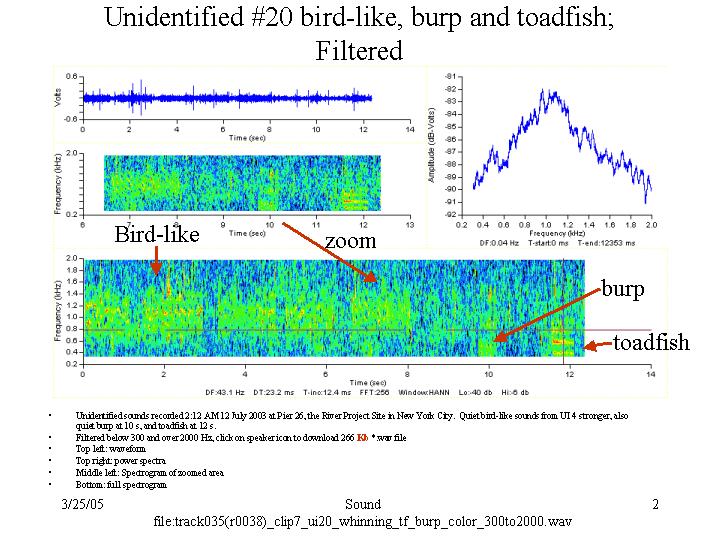 bird-like, toadfish, burp