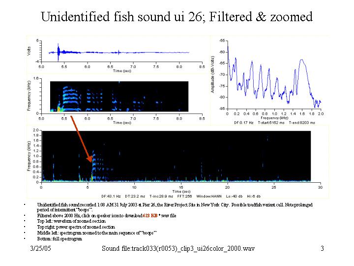 Filtered toadfish variant