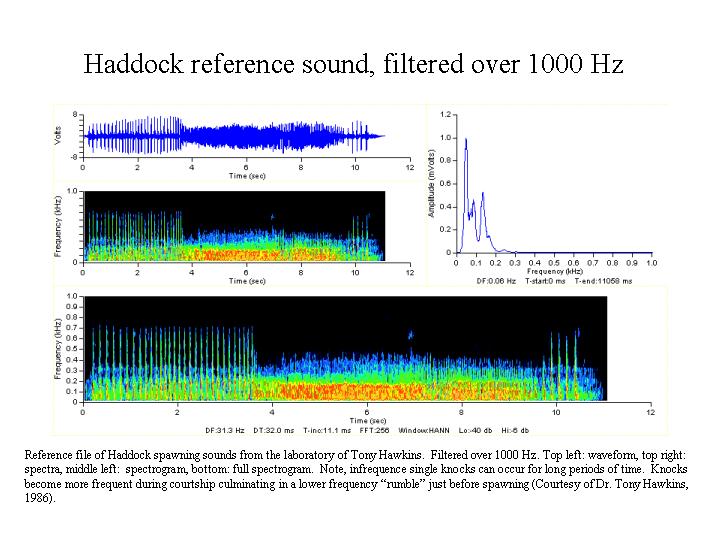reference haddock spawning sound
