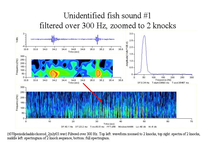Same sound filtered over 300 Hz