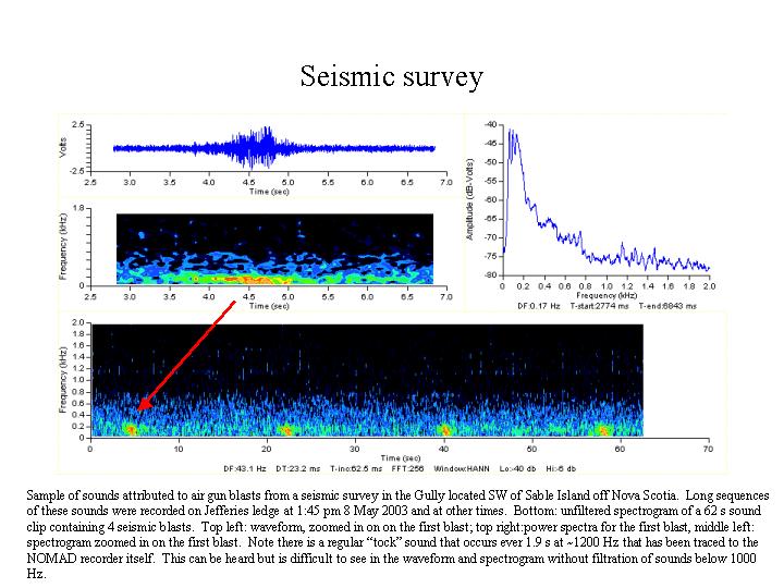 Sound of seismic survey